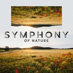 Symphony of Nature - Soothing Ambience for Meditation, Relaxation, Spa & Wellness - Sweet Music Relaxation
