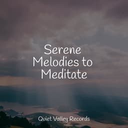 Serene Melodies to Meditate - Nature Sounds Artists