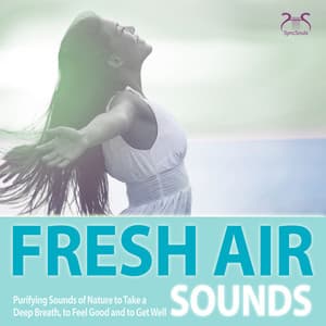 Fresh Air Sounds: Purifying Sounds of Nature to Take a Deep Breath, to Feel Good and to Get Well - Torsten Abrolat