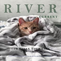 River Current for Relax Your Cats - White Noise Team by Beneluxa