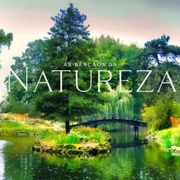 As Bênçãos da Natureza: Sons naturais relaxantes para desenrolar - Natureza Musica Bem-Estar Academia