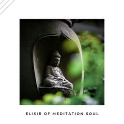 Elisir of Meditation Soul - Shokenel
