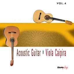 Acoustic Guitar & Viola Caipira, Vol. 4 - Paulinho Nogueira