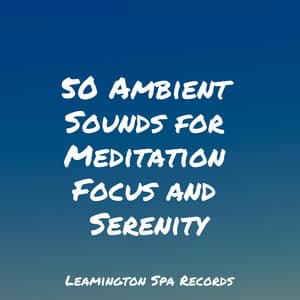 50 Ambient Sounds for Meditation Focus and Serenity - Tibetan Singing Bowls for Relaxation