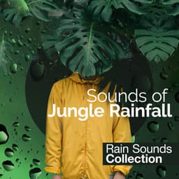 Sounds of Jungle Rainfall - Rain Sounds Collection