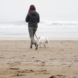 Oceanic Pet Waves: Soothing Binaural Seaside Companionship - Sonic Whales