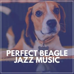 Perfect Beagle Jazz Music - Study Jazz