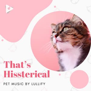 That’s Hissterical - Pet Music by Lullify