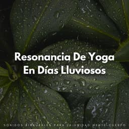 Resonancia De Yoga En Días Lluviosos: Sonidos Binaurales Para La Unidad Mente-Cuerpo - Lluvia Instantánea