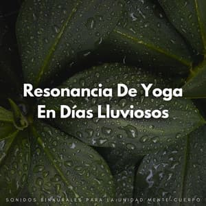 Resonancia De Yoga En Días Lluviosos: Sonidos Binaurales Para La Unidad Mente-Cuerpo - Lluvia Instantánea