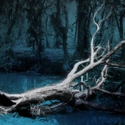 Nature Documentaries, Vol. 1: Mystic Earth - Anselm Kreuzer