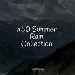 #50 Summer Rain Collection - Meditation Relaxation Club