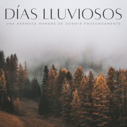 Días Lluviosos: Una Hermosa Manera De Dormir Profundamente - Los principales expertos en lluvia para el sueño profundo