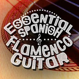 Essential Spanish Flamenco Guitar - The Acoustic Guitar Troubadours