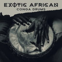 Exotic African Conga Drums: Tribal Music for Relaxation & Afro Percussion - African Music Drums Collection