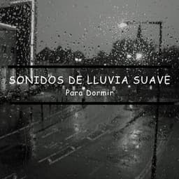 Sonidos de Lluvia Suave para Dormir - Lluvia para Dormir
