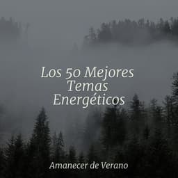 Los 50 Mejores Temas Energéticos - Música Para Meditar y Relajarse
