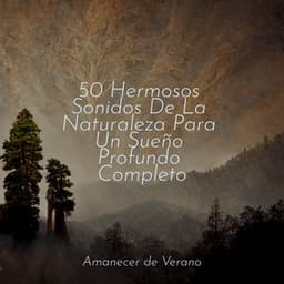 50 Hermosos Sonidos De La Naturaleza Para Un Sueño Profundo Completo - Dulces Sueños