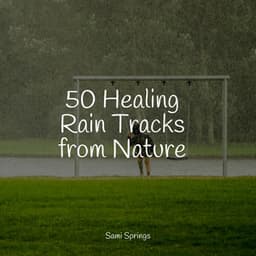 50 Healing Rain Tracks from Nature - Sleep Meditation Dream Catcher