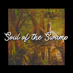 Soul of the Swamp - The Nature Soundscapes