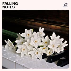 Falling Notes - Piano Music