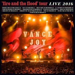 Fire and the Flood Tour Live 2016 - Vance Joy