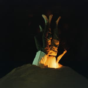 SYMBIOSIS - F.S.Blumm