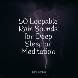 50 Loopable Rain Sounds for Deep Sleep or Meditation - Rain Spa