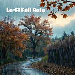 Lo-Fi Fall Rain - Coffe Lofi