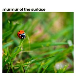 Murmur of the Surface - Sounds Of The Earth