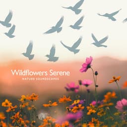 Wildflowers Serene - The Nature Soundscapes