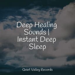 Deep Healing Sounds | Instant Deep Sleep - Calm Down