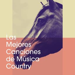 Las Mejores Canciones De Música Country - Party Hit Kings