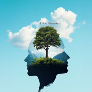 Self Regulation - Elliot Woods