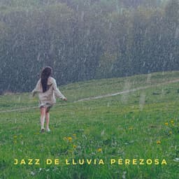 Jazz De Lluvia Perezosa - La Lluvia Suena Expertos en Naturaleza