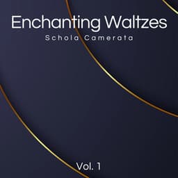 Enchanting Waltzes Vol.1 - Johann Strauss