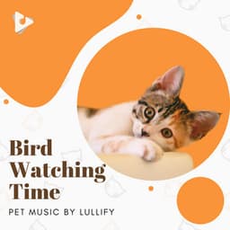 Bird Watching Time - Pet Music by Lullify