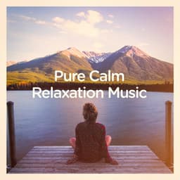 Pure Calm Relaxation Music - Relaxation Study Music