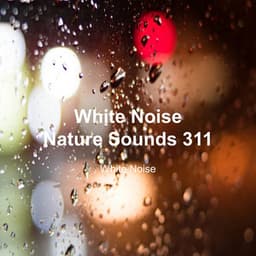 White Noise 311 - White Noise