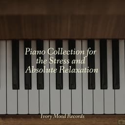 Piano Collection for the Stress and Absolute Relaxation - Classical Music Radio