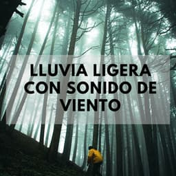 Lluvia Ligera Con Sonido De Viento - Música de día lluvioso