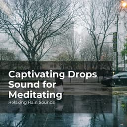 Captivating Drops Sound for Meditating - Relaxing Rain Sounds