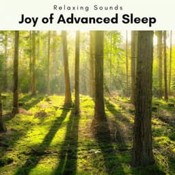 A Joy of Advanced Sleep - Heal Your Soul