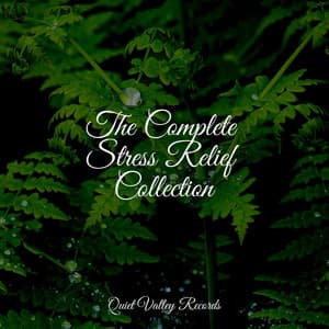 The Complete Stress Relief Collection - Sleepy Night Music