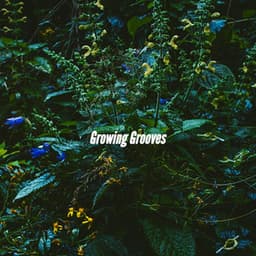 Growing Grooves - Calm Instrumental Coffee House