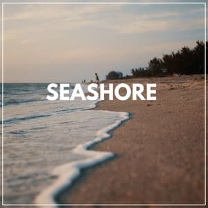 Seashore - ASMR Ocean Sounds