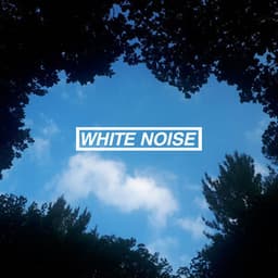 Sleep Collection - Rain Noise Collectors