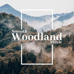 Smooth Woodland Music: Singing Birds, Howling Wind, Flowing Brook, Rainfall - Universe of Nature Orchestra