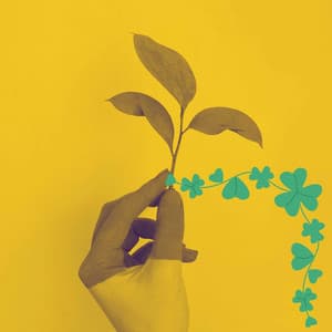 Background Music for Acoustic Life - Jazz Classics