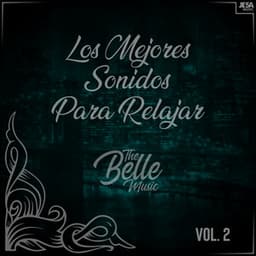 Los Mejores Sonidos para Relajar, Vol. 2 - Jesús Sauceda